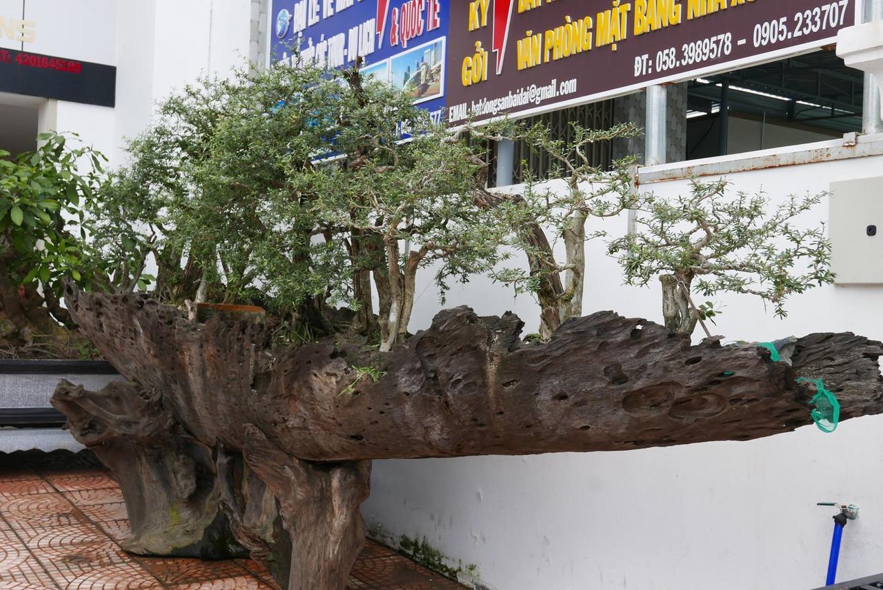 Allure Hotel Thuy Trieu Esterno foto